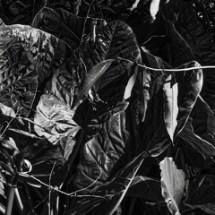 muerte por computadora