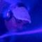 Dj Sirup