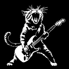 Five Black Cats