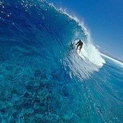 Nouveautés : Rock alternatif