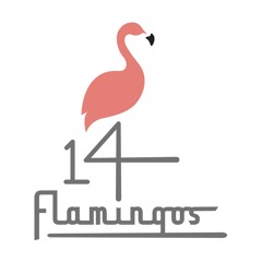 14 Flamingos