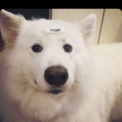 is dogger 126