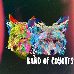 Band of Coyotes