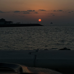suninmyeyes