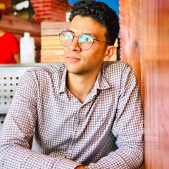Mohamed S. Hegazy