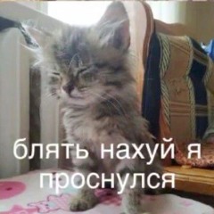 サタンに祝福されています
