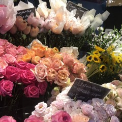 멍멍아야옹해봐