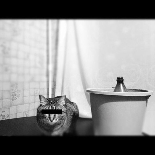 ром