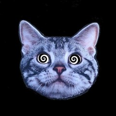 bblondedisorder