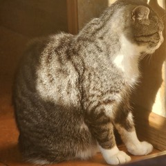 Nikolay