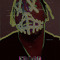 ___Diallo_____
