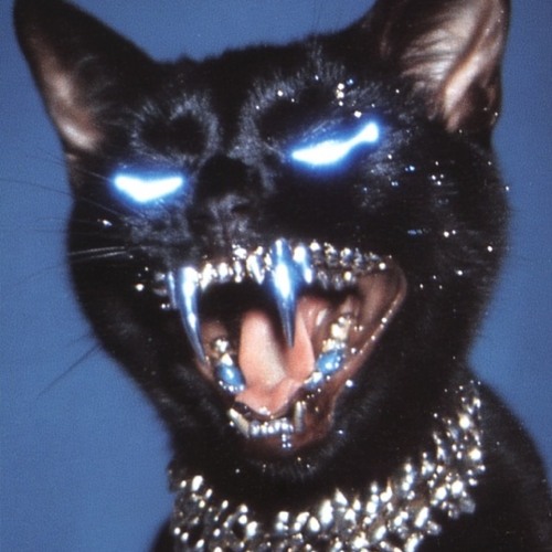 Ich glaub es knallt - 30min into a rave