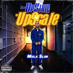 Mula Slim
