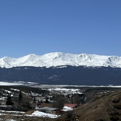BZLEE