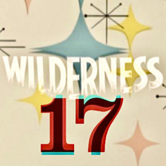 Wilderness 17