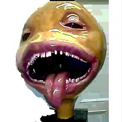 kyqnott