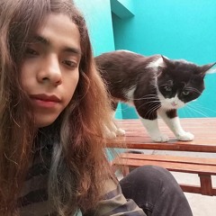 JesusNoBrain