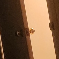 Noimehomie