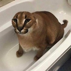 Floppa General