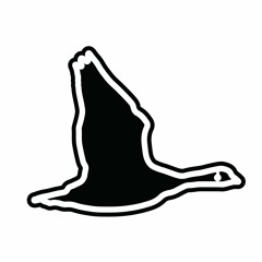 For the Love of Music: Changes in Boston’s DIY Music Scene