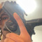 Lilsed2x