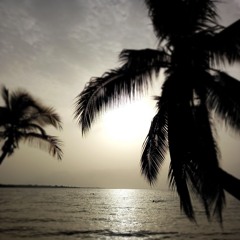 Okit_o22