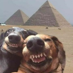 DARZI - Rog (320 Kbps)