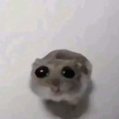 lil xoănie