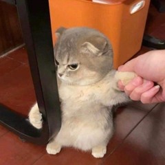 -.-