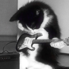 J🎸