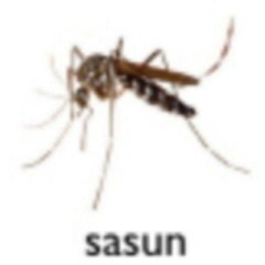 слушатель один