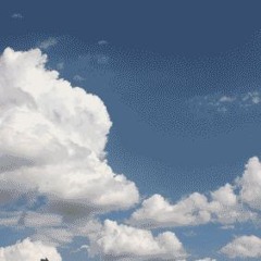 quixote