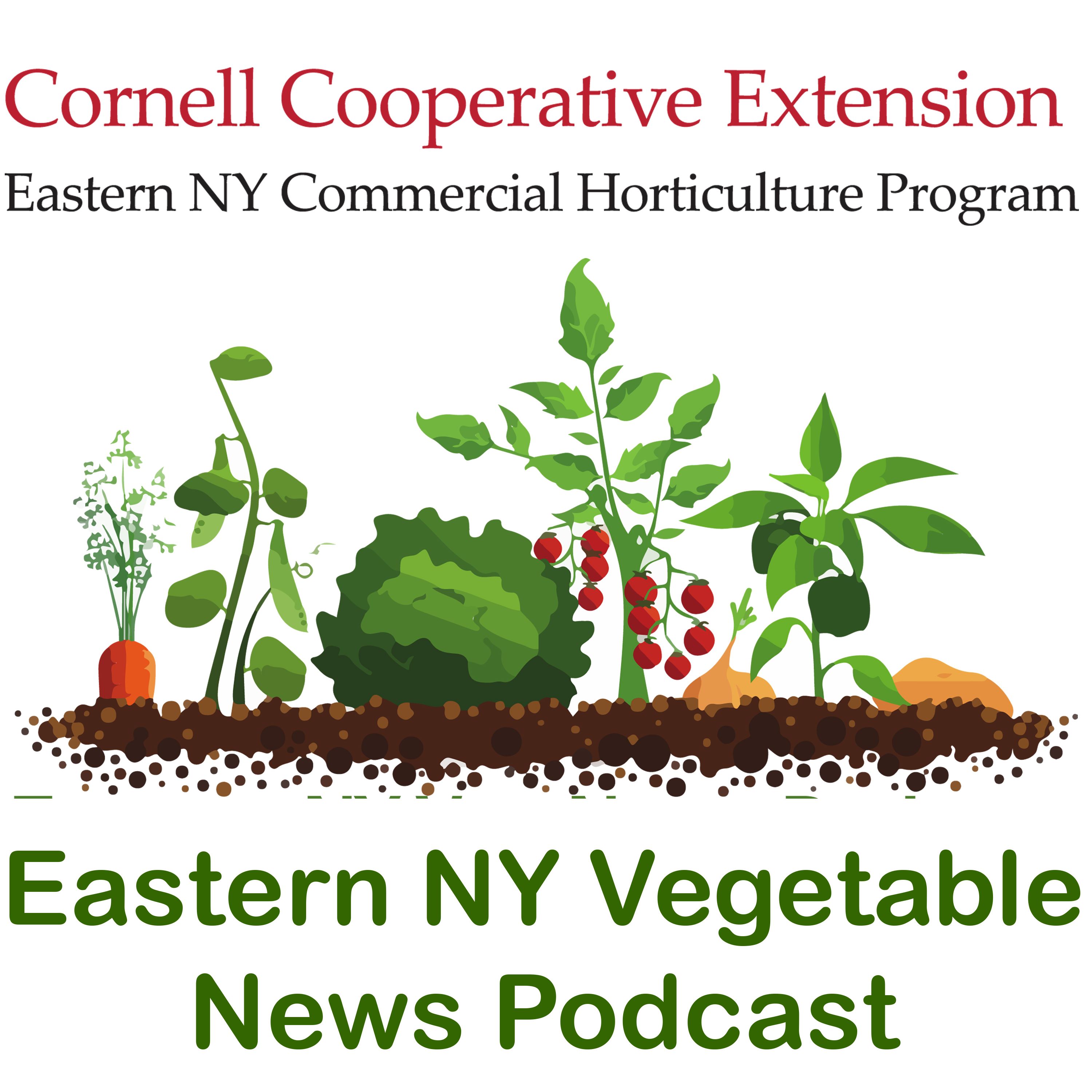 Eastern New York Veg News