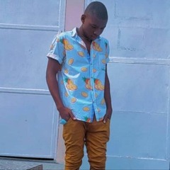 Mili_wa509