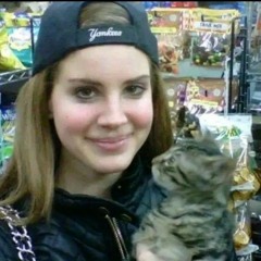 cat *.✧