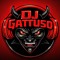 DJ GATTUSO