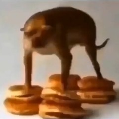 shidhead