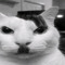 Kitler