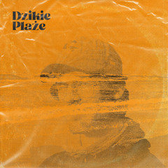 dzikie plaże