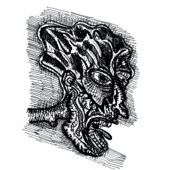 Été possible (zine Hachures 5)