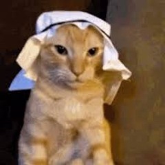 MisterHabibi