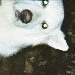 lowlov