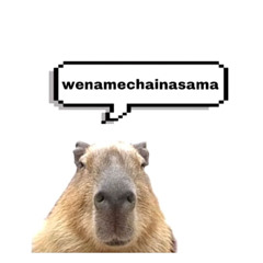 mo ti zil Moris 🇲🇺