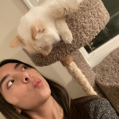 Maggie Eustache