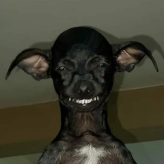 Семён Живчик