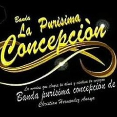 banda PURÍSIMA CONCEPCIÓN de Cristian Hernández An