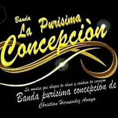 banda PURÍSIMA CONCEPCIÓN de Cristian Hernández An’s avatar