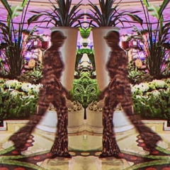 DESIRED ADMIRED