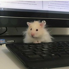 𝕯𝖆𝖋𝖋𝕹𝖎𝖈𝖐