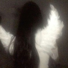 Phantomx